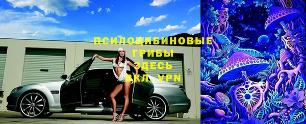 стафф Абинск
