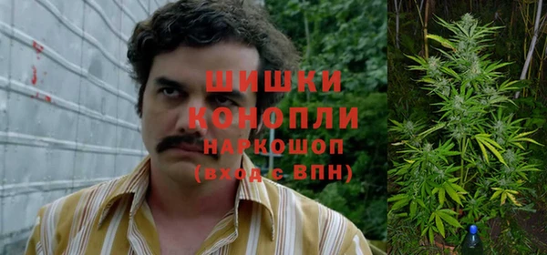 амф Рославль