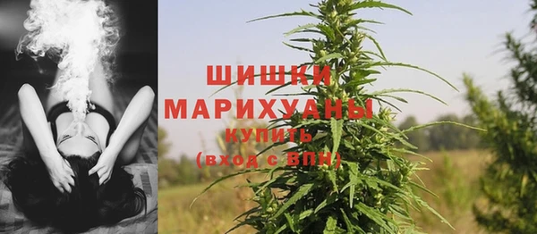 амф Рославль