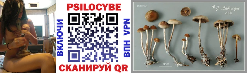 kraken ТОР  нарко площадка официальный сайт  Псилоцибиновые грибы Psilocybe  Кириллов 